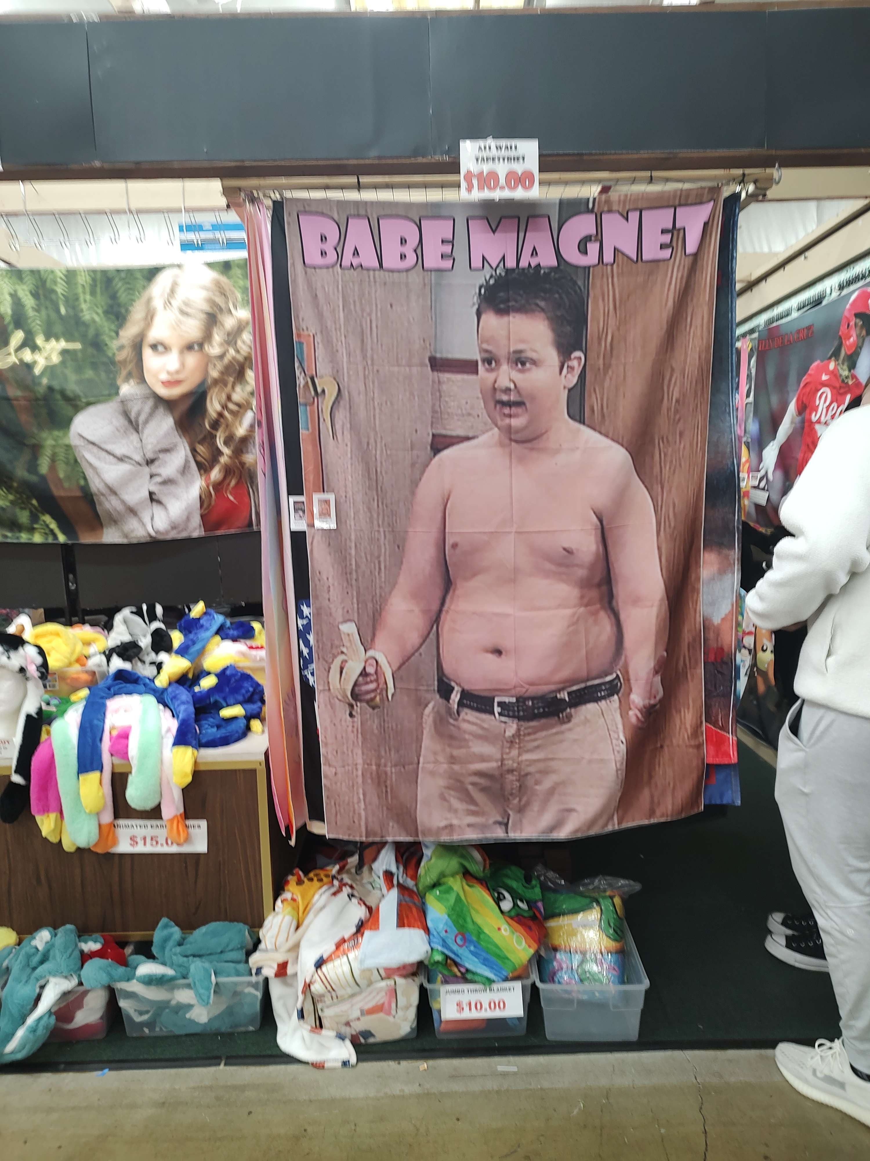 wall tapestry reading 'babe magnet' with an image of gibby from icarly